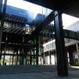 L'imposition collective des partenaires