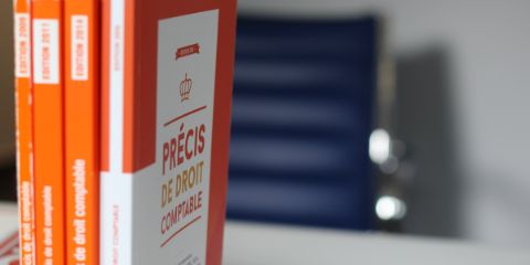 LPG: La comptabilité en partie double