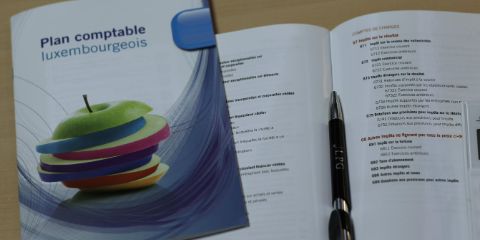 LPG Luxembourg : l'impôt minimum au Luxembourg